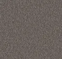 Sediment