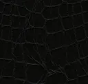 Black Onyx