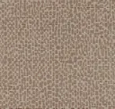 Mocha