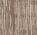 Raw Umber