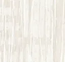 Parchment