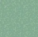 Lacewing Eco