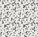 Black+white Eco