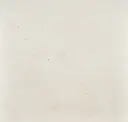 Ivory Illusion