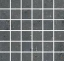 Coal