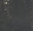 Coal