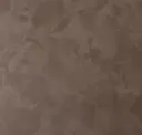 Cocoa