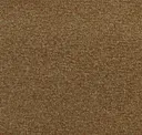 Mustard Seed
