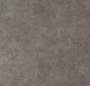 Rhino