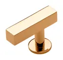 Unlacquered Brass