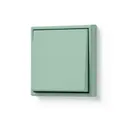 Vert Anglais Clair