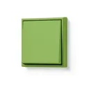 Vert 31
