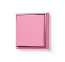 Rose Vif
