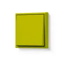Vert Olive Vif