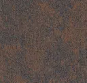 Coral Calculations