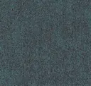 Ice Inverse