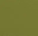 Exotic Lime