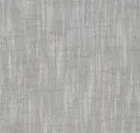 Space Dust