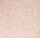 Roseate Coral