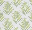 Frond