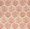 Fire Coral