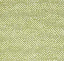 Chameleon