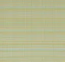 Palm Frond