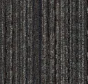 Bark