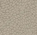 Limestone