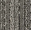 Birch