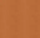 Cammello