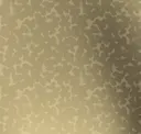 Gold Shimmer