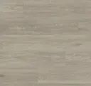 Canvas Oak