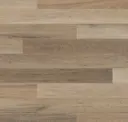 Canterbury Ash