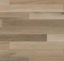 Canterbury Ash
