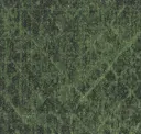 625
