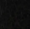 Stallion