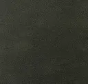 Loden