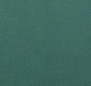 Spearmint