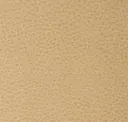 Sesame