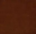 Cinnamon