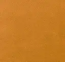 Mesquite