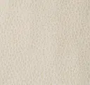 Parchment