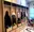 Main