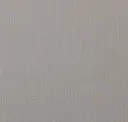 Iron