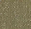 Ginkgo