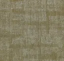 Ginkgo