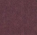 Tanzanite