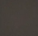 Iron