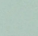 Seafoam
